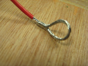 Loop
